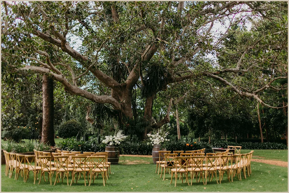 Chairs arranged in a circle for a ceremony under old trees