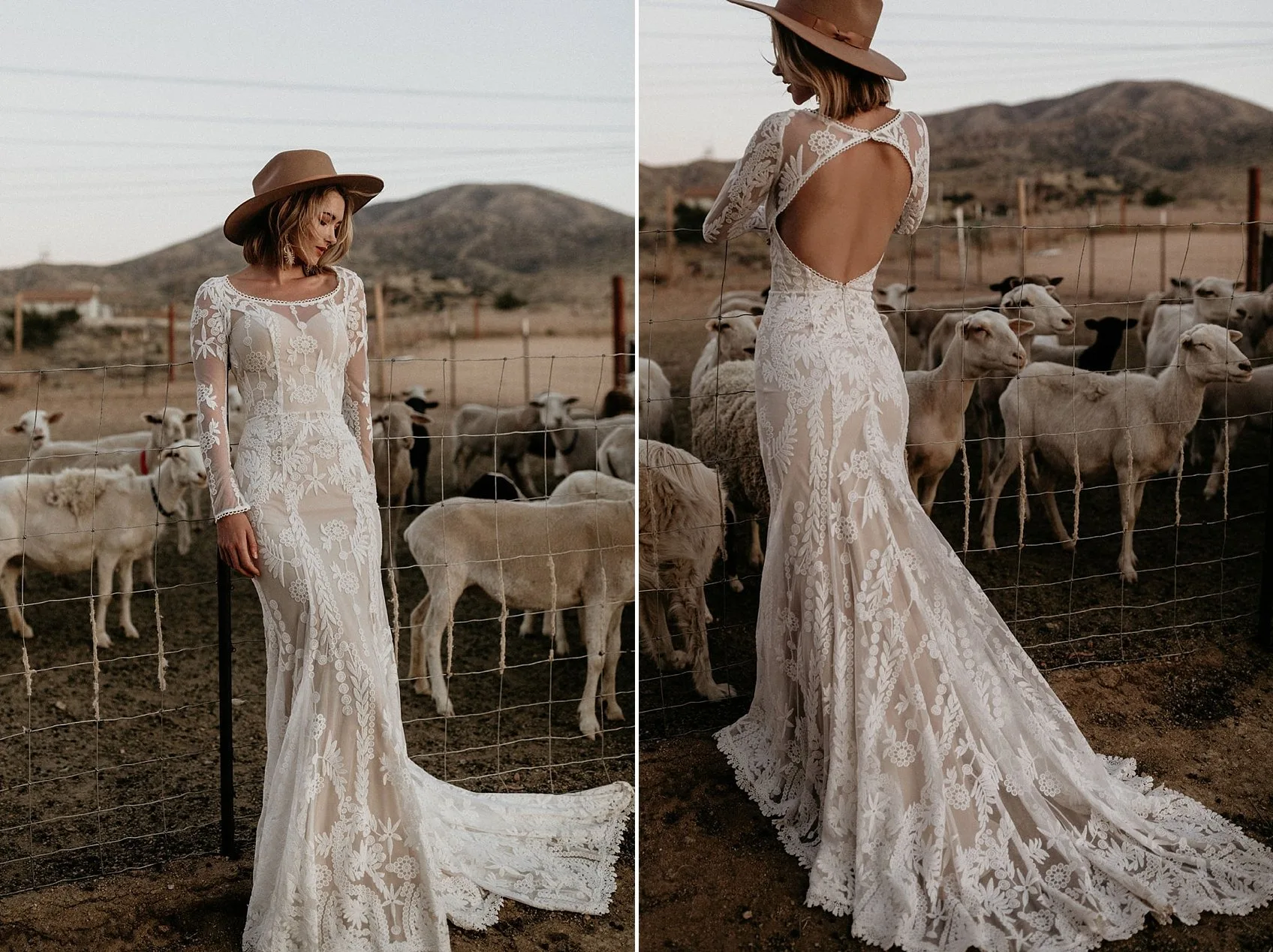 A long lace train beside a paddock of sheep