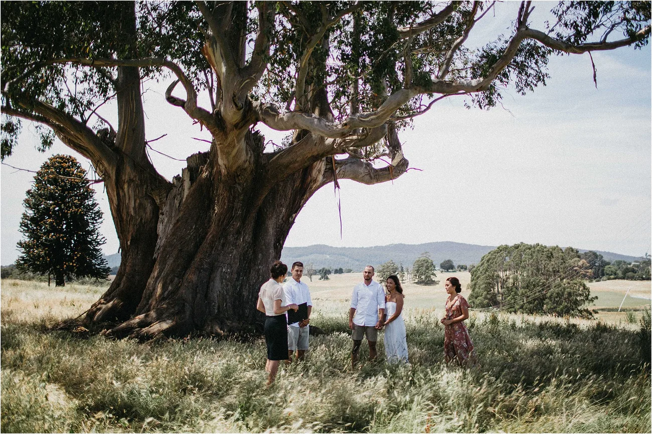 Two people standing beneath an enormous old gum at the edge of a paddock