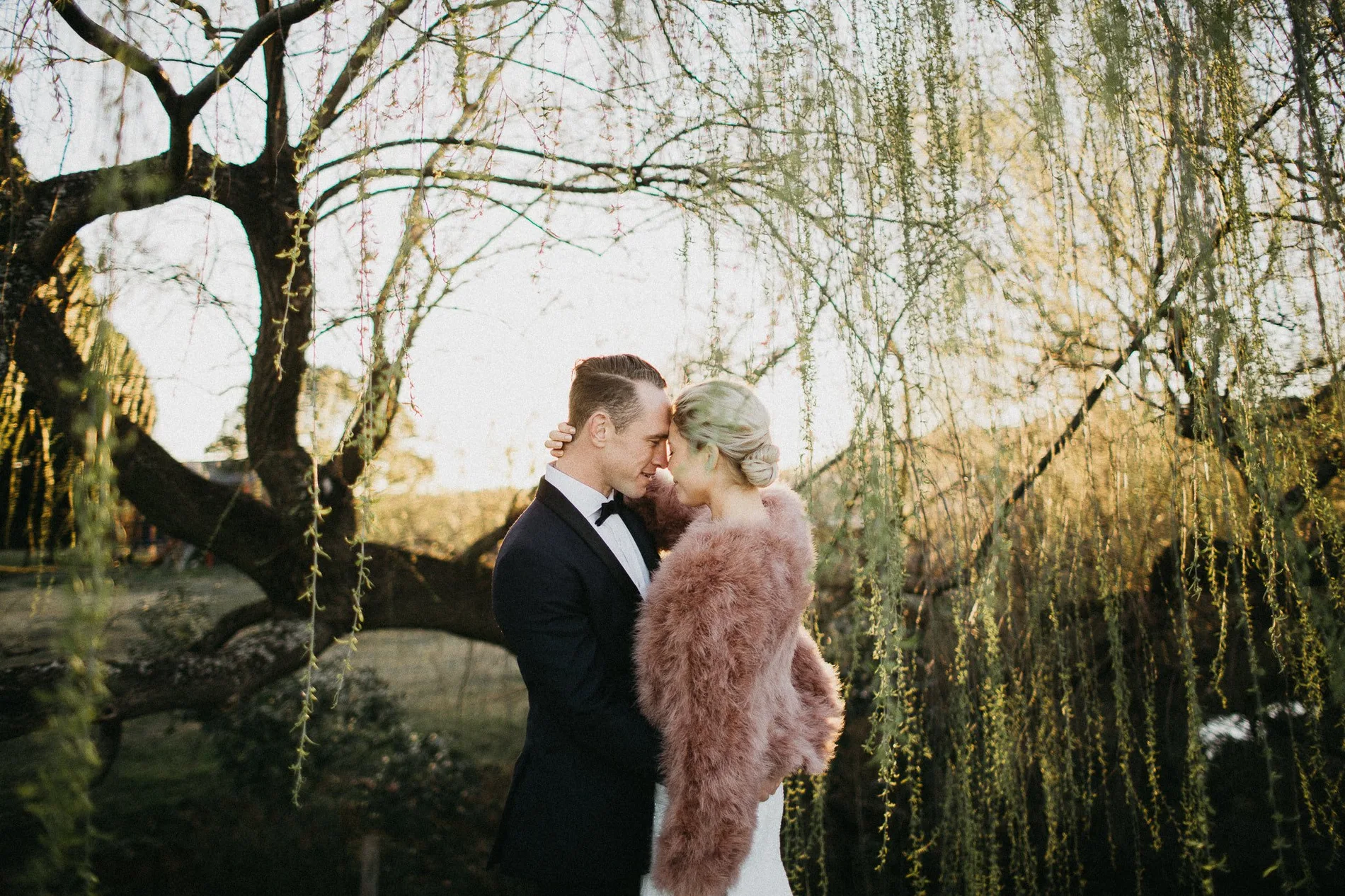 A couple embracing beneath a willow